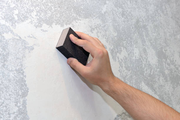 Best Black Mold Removal  in Munsons Corners, NY