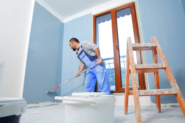 Best Basement Mold Removal  in Munsons Corners, NY
